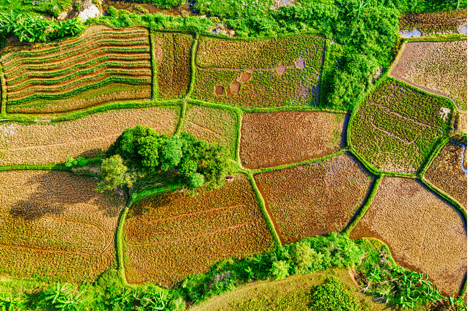 AI field boundary detection for agricultural parcels